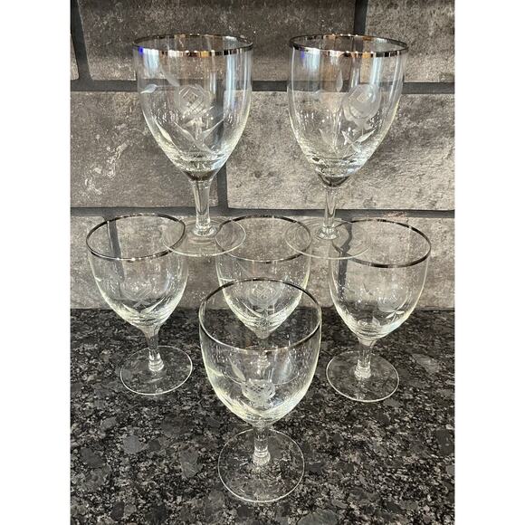 6 Vintage Etched Rose Hand Blown Glass Water Goblets Platinum Trim Elegant - Picture 1 of 5
